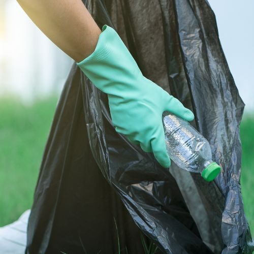 Cleaning up the bay by collecting plastic bottles